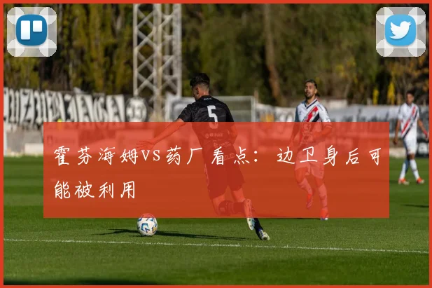 霍芬海姆vs药厂看点：边卫身后可能被利用