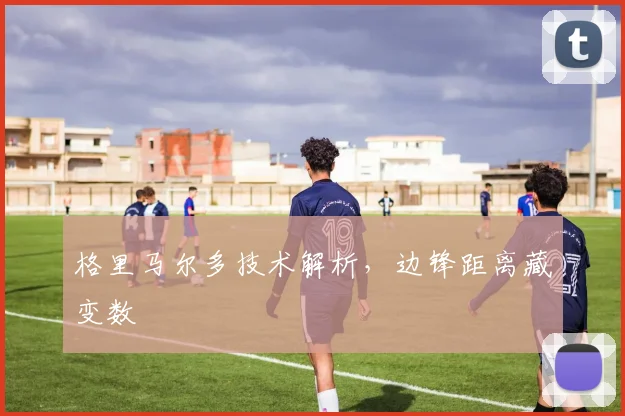 格里马尔多技术解析,边锋距离藏变数