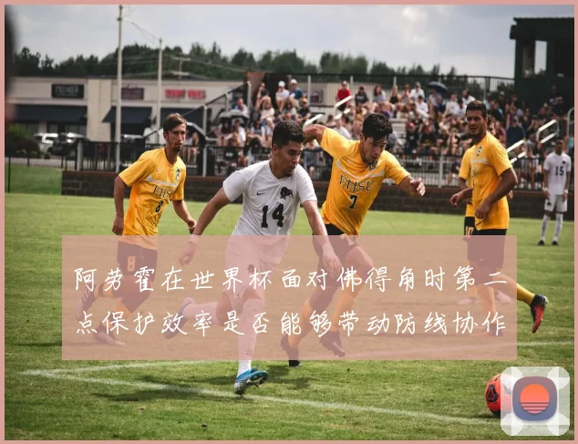 阿劳霍在世界杯面对佛得角时第二点保护效率是否能够带动防线协作