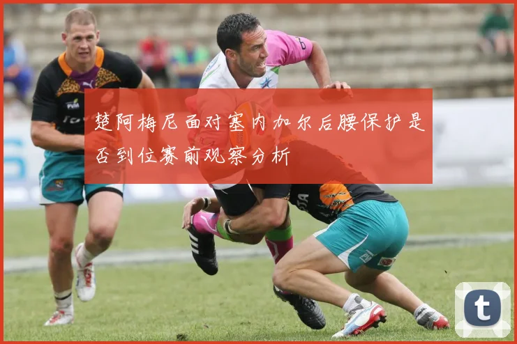 楚阿梅尼面对塞内加尔后腰保护是否到位赛前观察分析